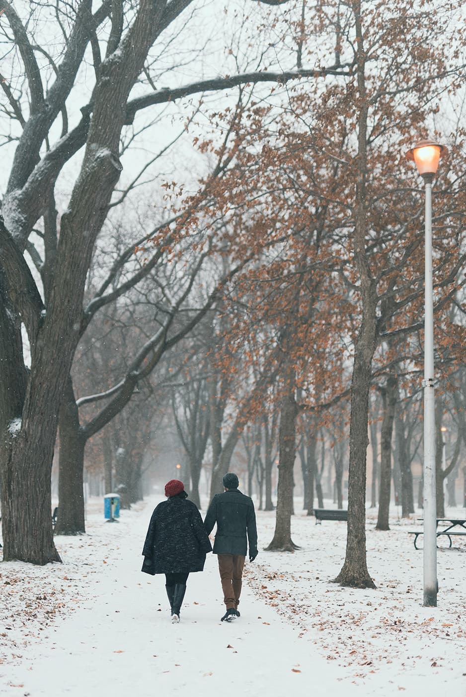 Hand in hand down a snow-covered avenue of bare trees